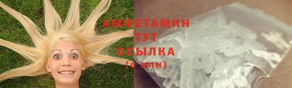 шишки Алексин