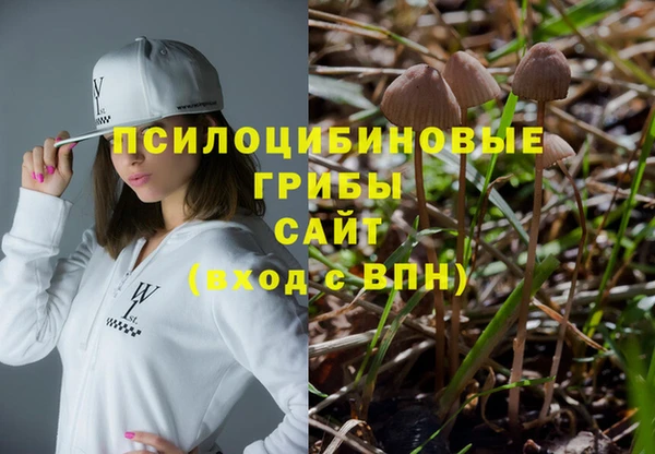 шишки Алексин