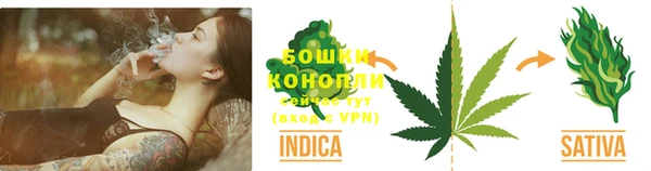крисы Абдулино