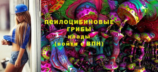 шишки Алексин