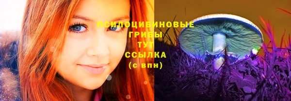 прущий лед Алексеевка